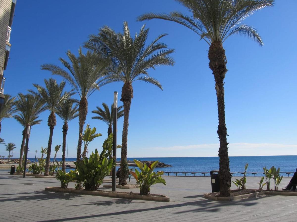 Tango Mango Apartment! Plaza 5 Min, Basen! Torrevieja Dış mekan fotoğraf