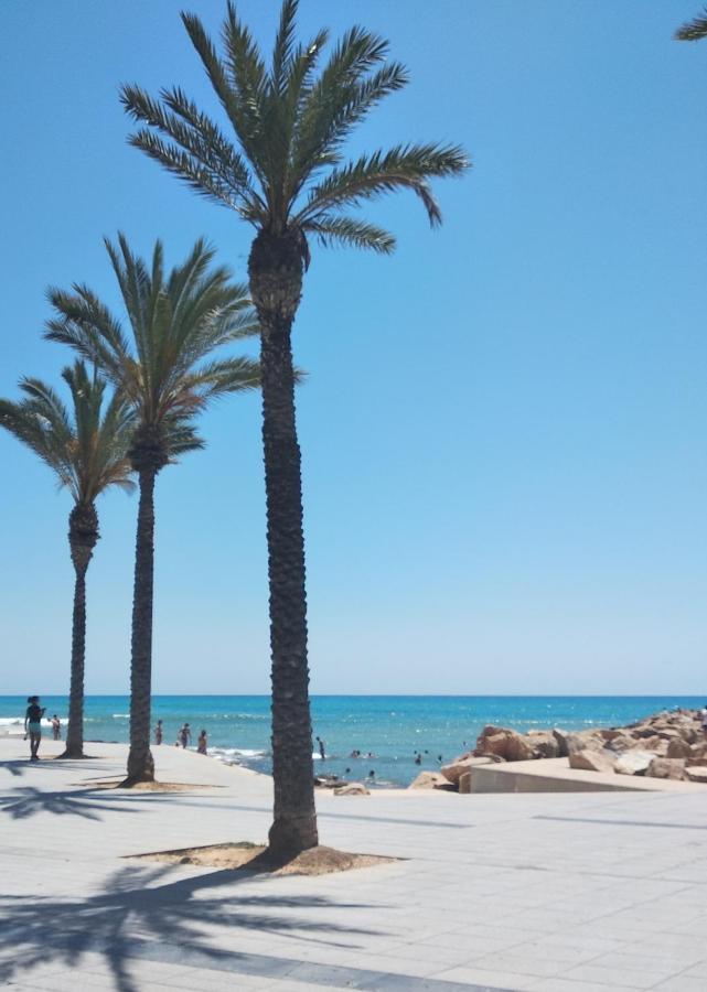 Tango Mango Apartment! Plaza 5 Min, Basen! Torrevieja Dış mekan fotoğraf