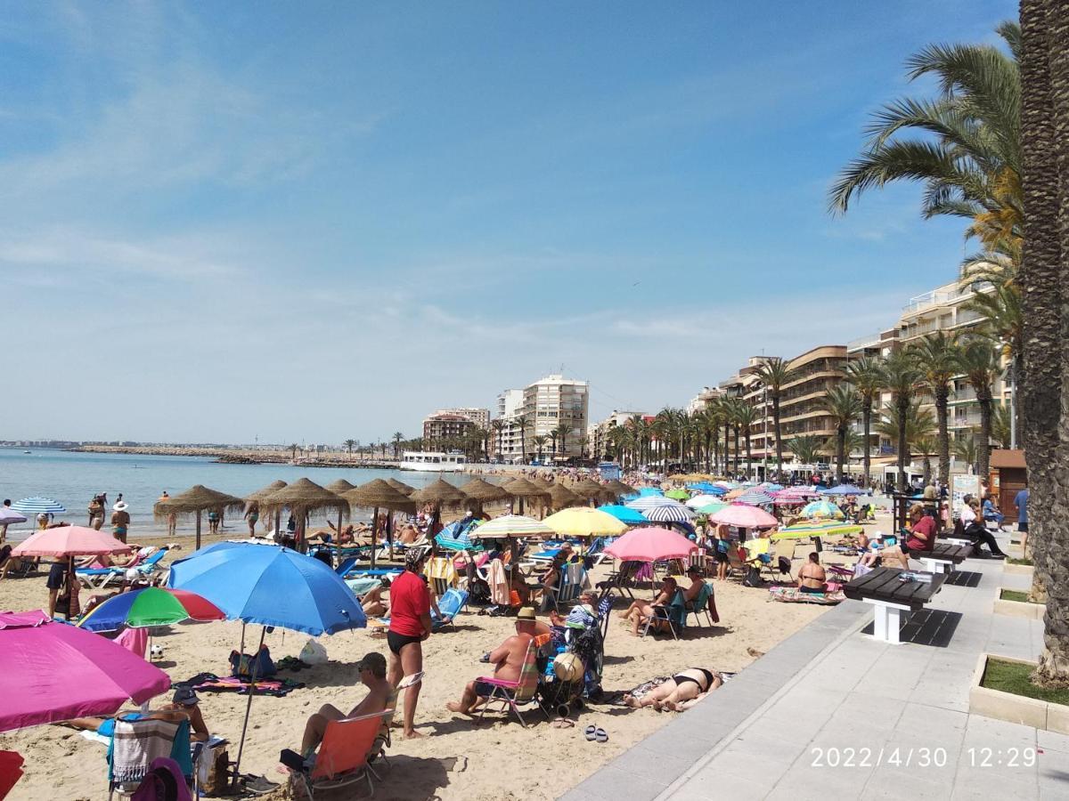 Tango Mango Apartment! Plaza 5 Min, Basen! Torrevieja Dış mekan fotoğraf