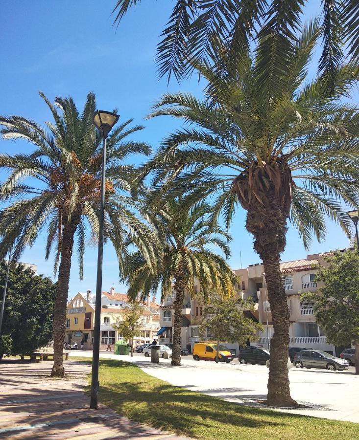 Tango Mango Apartment! Plaza 5 Min, Basen! Torrevieja Dış mekan fotoğraf