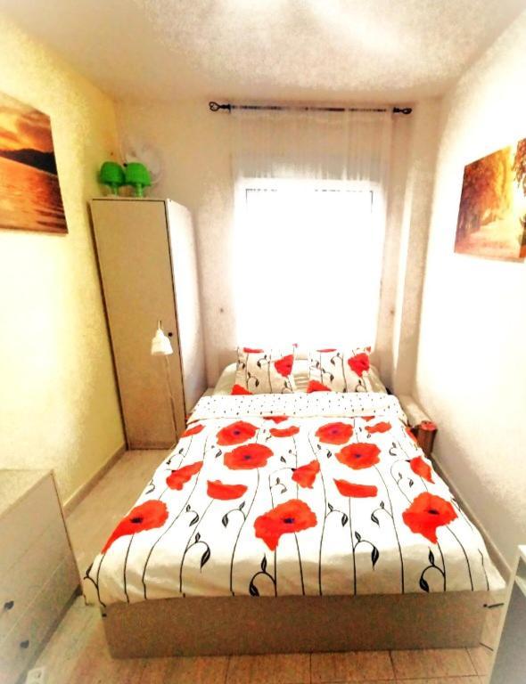 Tango Mango Apartment! Plaza 5 Min, Basen! Torrevieja Dış mekan fotoğraf